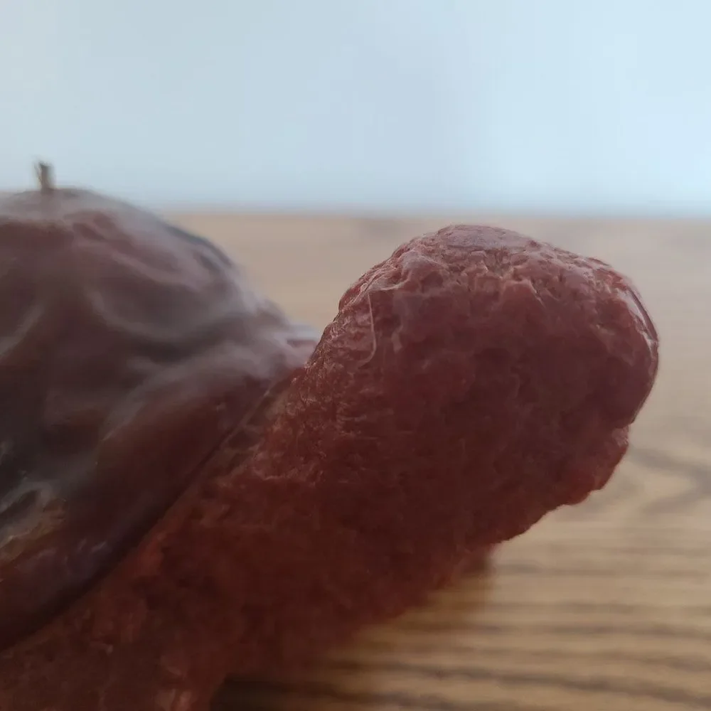 Vintage Novelty Turtle Wax Candle - RED TURTLE - Vintage Rare UNIQUE